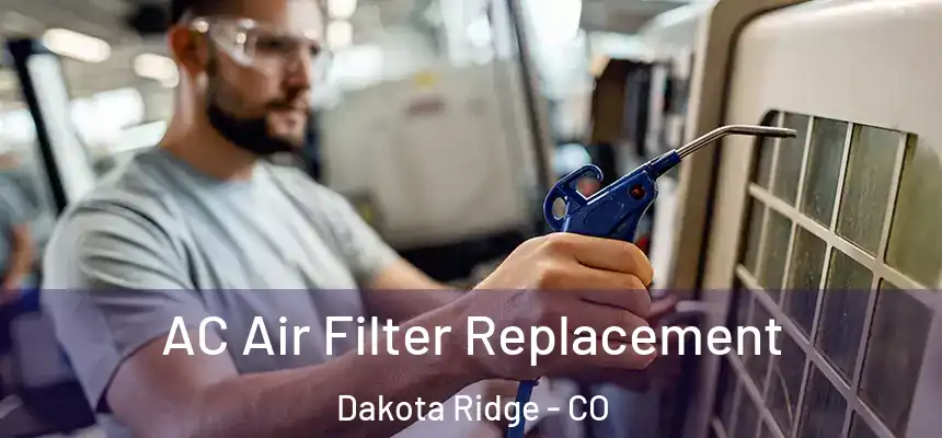  AC Air Filter Replacement Dakota Ridge - CO