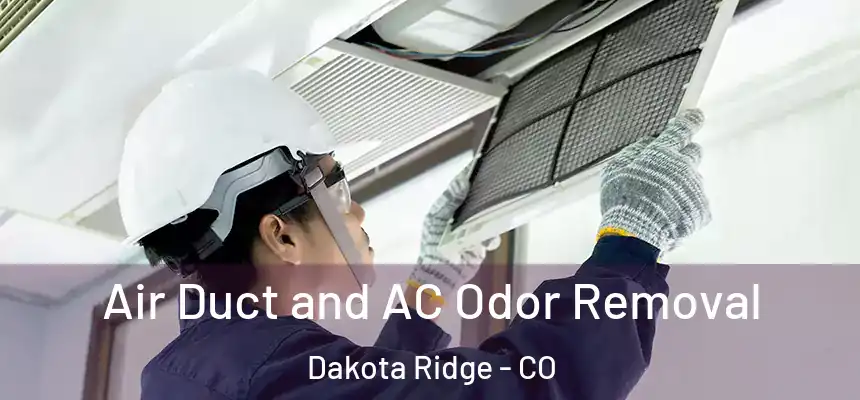 Air Duct and AC Odor Removal Dakota Ridge - CO