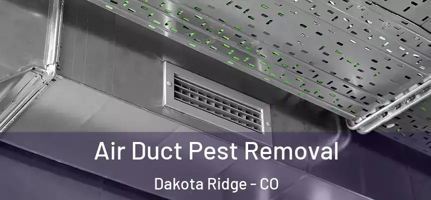  Air Duct Pest Removal Dakota Ridge - CO
