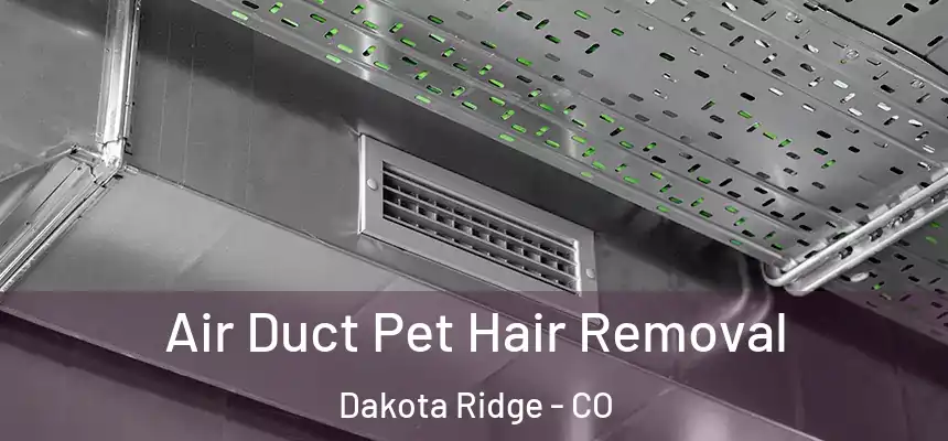 Air Duct Pet Hair Removal Dakota Ridge - CO