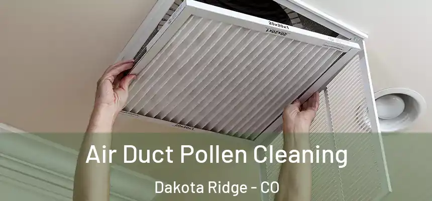  Air Duct Pollen Cleaning Dakota Ridge - CO
