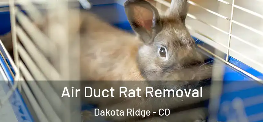  Air Duct Rat Removal Dakota Ridge - CO