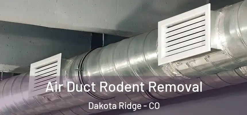 Air Duct Rodent Removal Dakota Ridge - CO