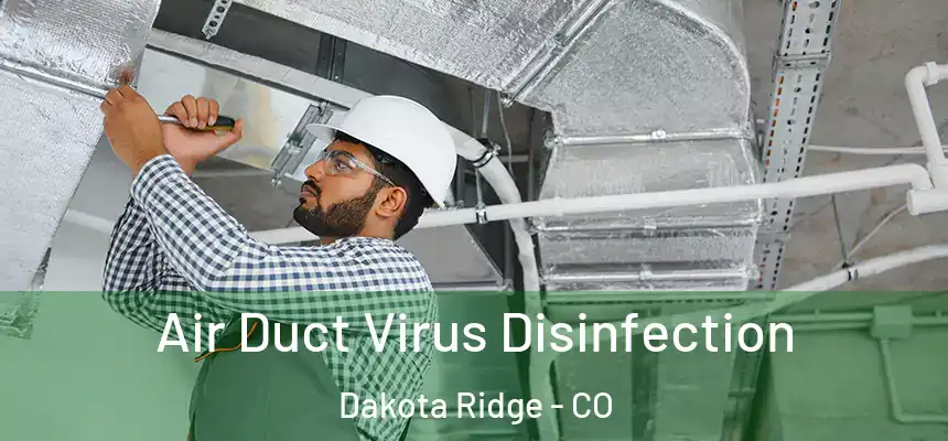  Air Duct Virus Disinfection Dakota Ridge - CO