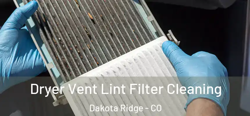 Dryer Vent Lint Filter Cleaning Dakota Ridge - CO