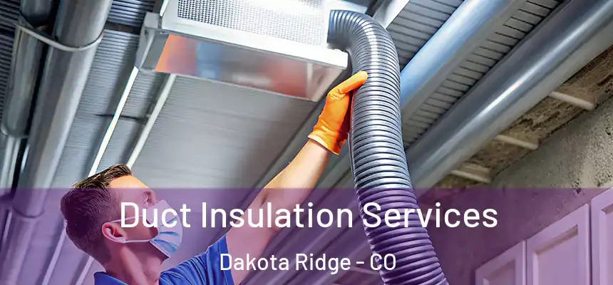  Duct Insulation Services Dakota Ridge - CO