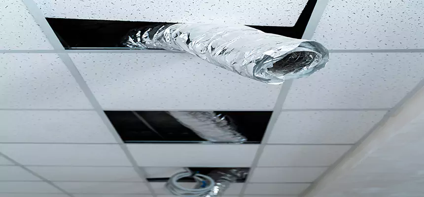 Our Air Duct Pet Hair Removal Services in Dakota Ridge, CO