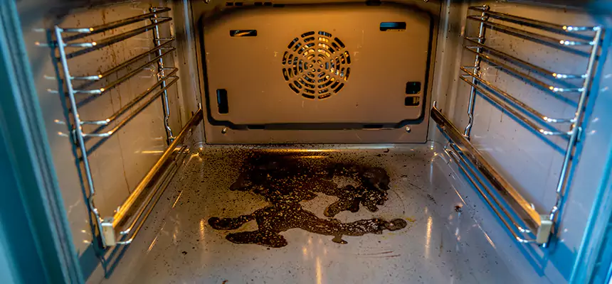 Our Dryer Vent Mold Cleaning Services in Dakota Ridge, CO