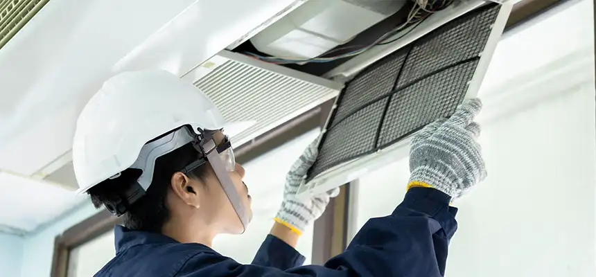 Our Lint Trap Cleaning Service Services in Dakota Ridge, CO