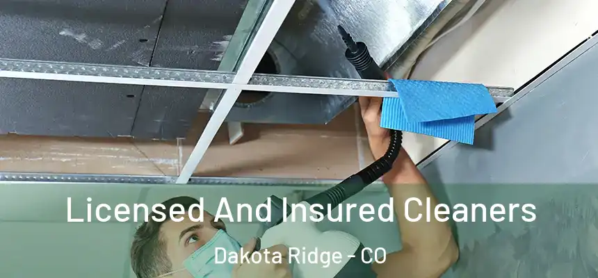  Licensed And Insured Cleaners Dakota Ridge - CO