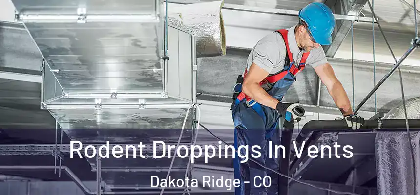  Rodent Droppings In Vents Dakota Ridge - CO