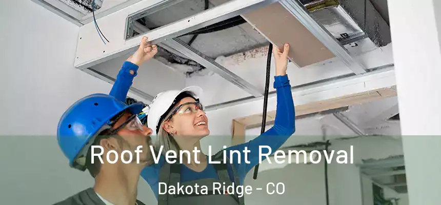  Roof Vent Lint Removal Dakota Ridge - CO