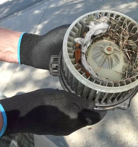 About Air Duct Mice Removal in Dakota Ridge, CO