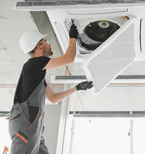 About Air Duct Rodent Removal in Dakota Ridge, CO