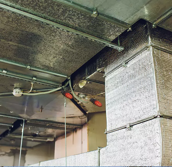 Why Homeowners & Businesses Trust Us Dakota Ridge, CO?